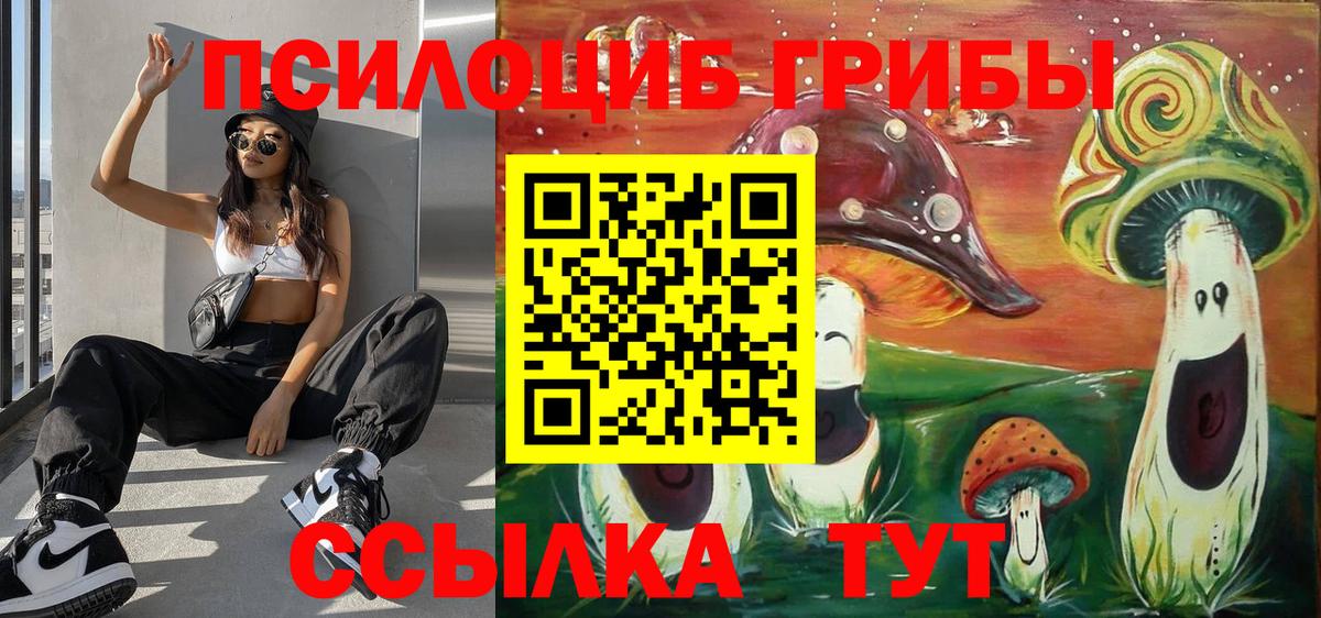Псилоцибиновые грибы Psilocybine cubensis Лениногорск