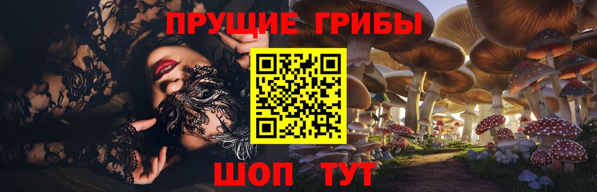 Лениногорск  где купить наркоту  Вход с VPN  Галлюциногенные грибы Magic Shrooms 